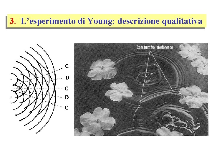 3. L’esperimento di Young: descrizione qualitativa 