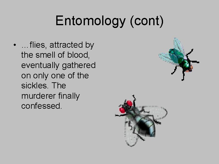 Entomology (cont) • …flies, attracted by the smell of blood, eventually gathered on only