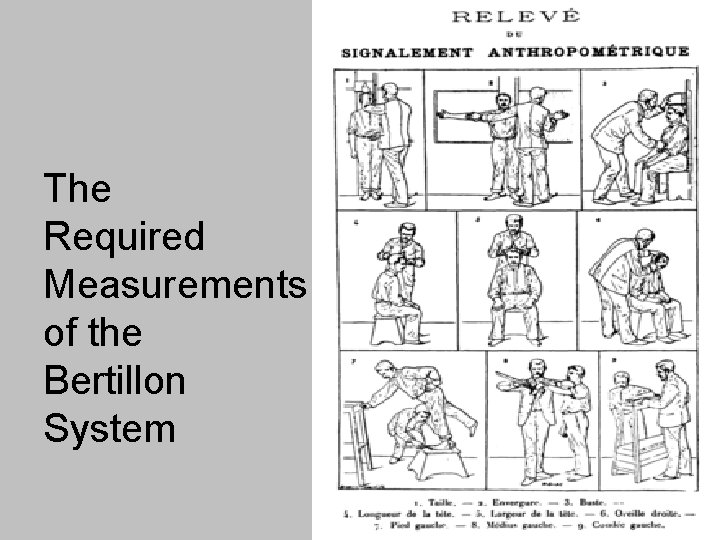 The Required Measurements of the Bertillon System 
