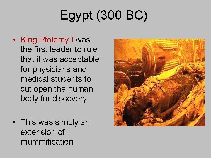 Egypt (300 BC) • King Ptolemy I was the first leader to rule that