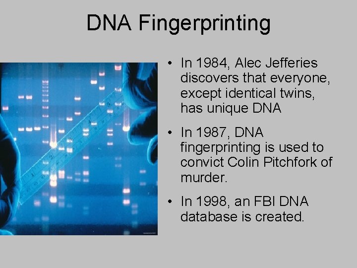 DNA Fingerprinting • In 1984, Alec Jefferies discovers that everyone, except identical twins, has