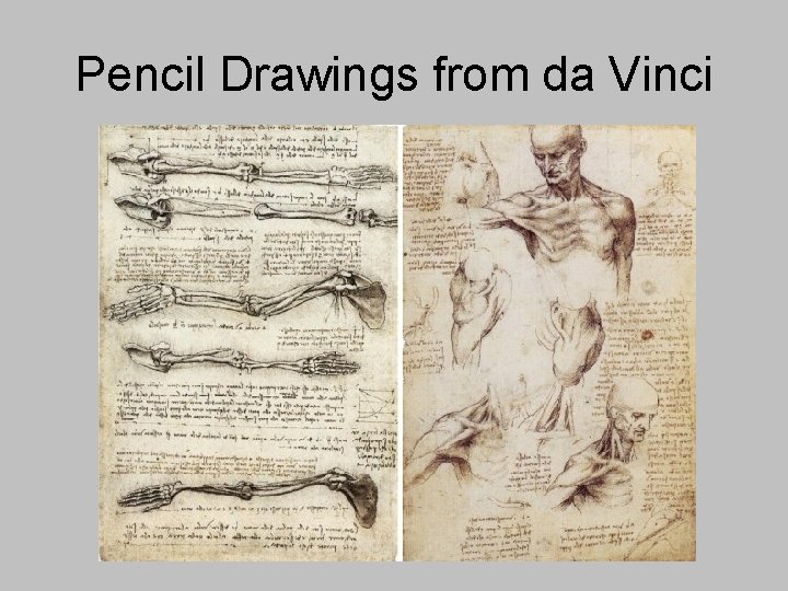 Pencil Drawings from da Vinci 