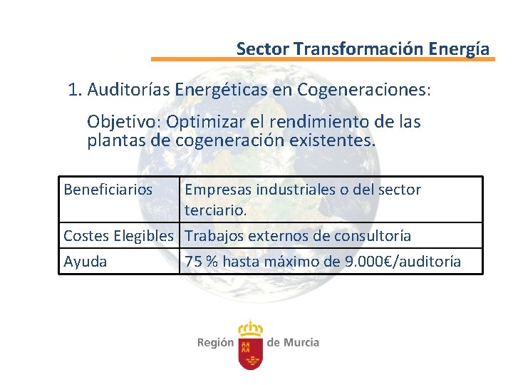 Sector Transformación Energía 1. Auditorías Energéticas en Cogeneraciones: Objetivo: Optimizar el rendimiento de las