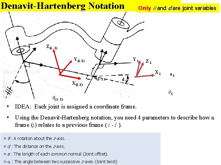 Denavit-Hartenberg Notation Only and d are joint variables Z(i - 1) Y(i -1) X(i