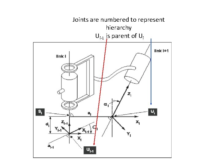 Joints are numbered to represent hierarchy Ui-1 is parent of Ui 