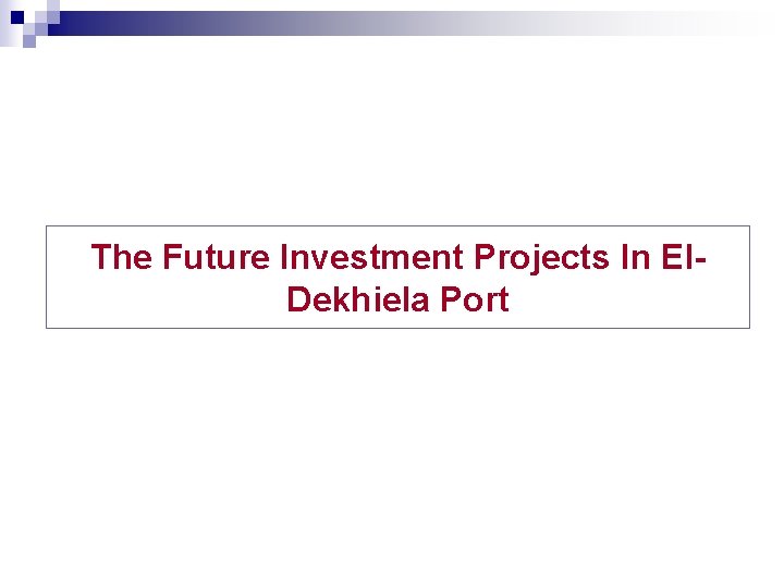 The Future Investment Projects In El. Dekhiela Port 