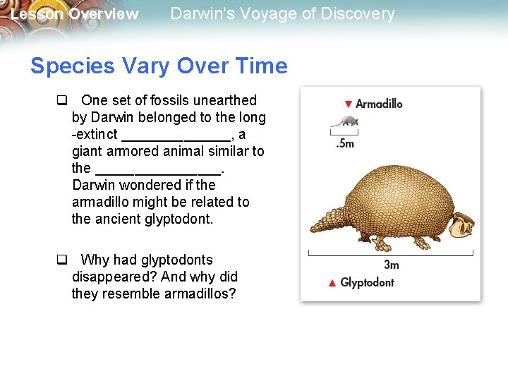 Lesson Overview Darwin’s Voyage of Discovery Species Vary Over Time q One set of