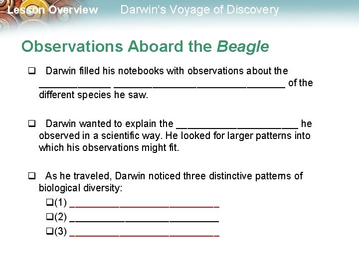 Lesson Overview Darwin’s Voyage of Discovery Observations Aboard the Beagle q Darwin filled his