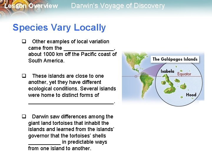 Lesson Overview Darwin’s Voyage of Discovery Species Vary Locally q Other examples of local