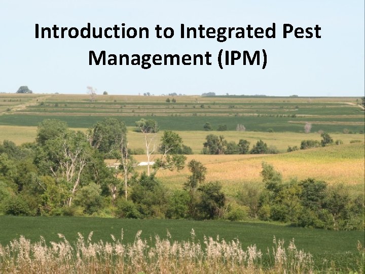 Introduction to Integrated Pest Management (IPM) 