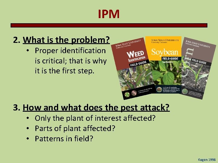 IPM 2. What is the problem? • Proper identification is critical; that is why