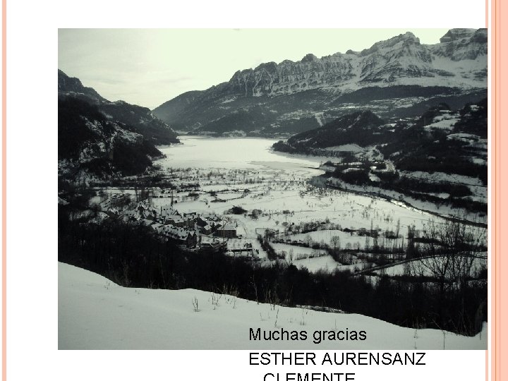 Muchas gracias ESTHER AURENSANZ Muchas gracias ESTHER AURENSANZ