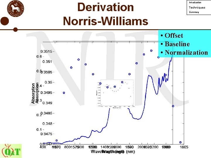 Derivation Norris-Williams Introduction Techniques Summary NIR • Offset • Baseline • Normalization 