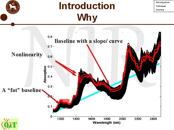 Introduction Why NIR Baseline with a slope/ curve Nonlinearity A “fat” baseline Introduction Techniques