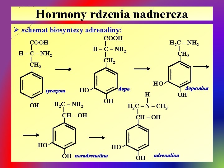 Hormony rdzenia nadnercza Ø schemat biosyntezy adrenaliny: COOH | | H 2 C –