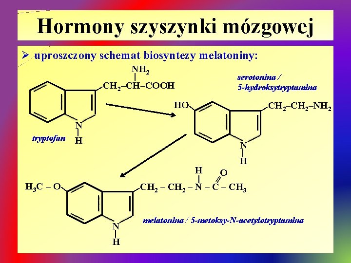 Hormony szyszynki mózgowej Ø uproszczony schemat biosyntezy melatoniny: NH 2 | serotonina / 5