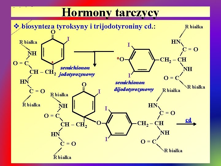 Hormony tarczycy v biosynteza tyroksyny i trijodotyroniny cd. : R białka O I |NH