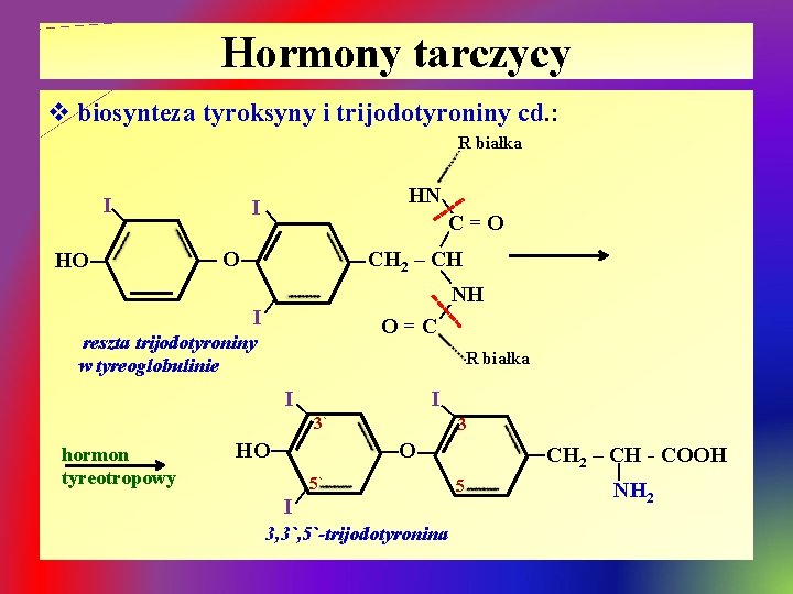Hormony tarczycy v biosynteza tyroksyny i trijodotyroniny cd. : R białka I| | O