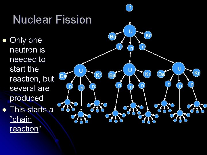 n Nuclear Fission l l Only one neutron is needed to start the reaction,