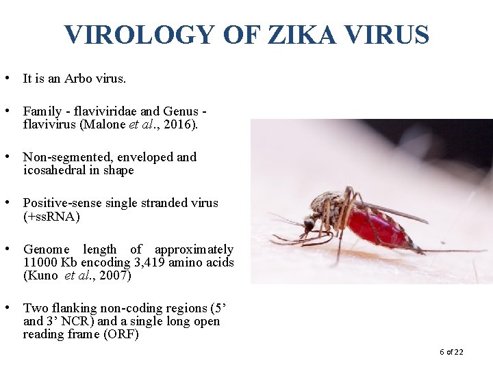 VIROLOGY OF ZIKA VIRUS • It is an Arbo virus. • Family - flaviviridae