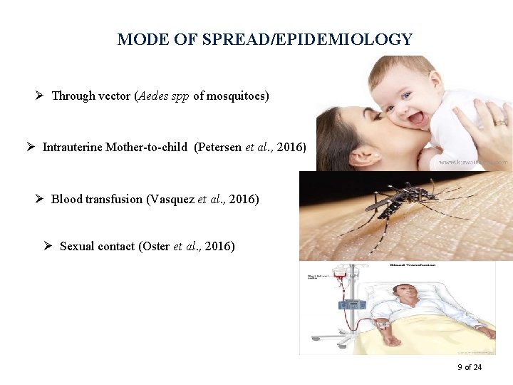 MODE OF SPREAD/EPIDEMIOLOGY Ø Through vector (Aedes spp of mosquitoes) Ø Intrauterine Mother-to-child (Petersen