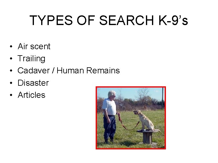 TYPES OF SEARCH K-9’s • • • Air scent Trailing Cadaver / Human Remains