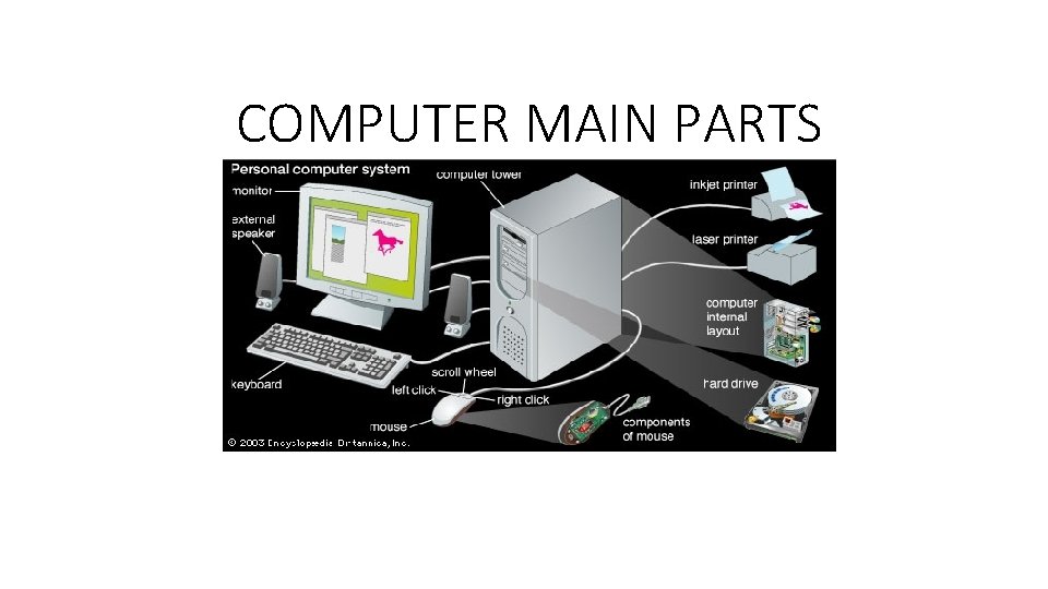 COMPUTER MAIN PARTS 