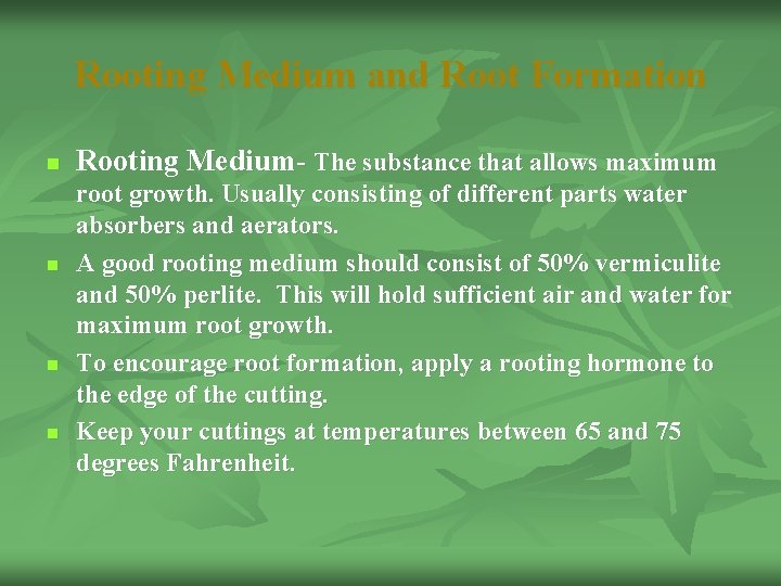 Rooting Medium and Root Formation n n Rooting Medium- The substance that allows maximum