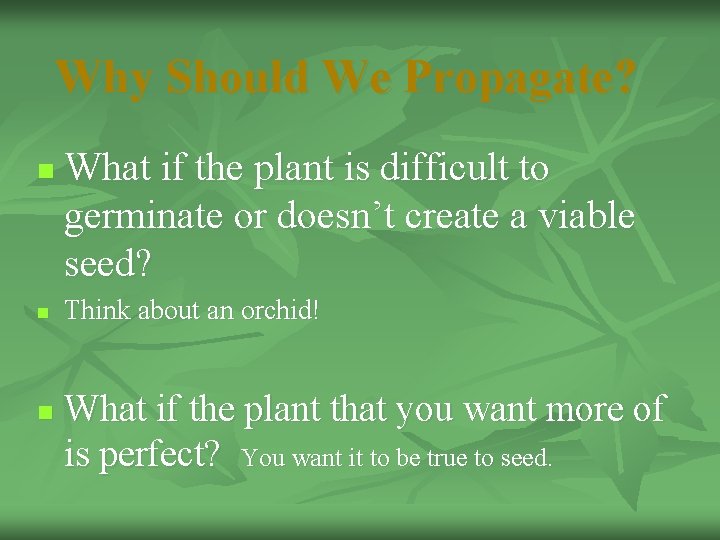 Why Should We Propagate? n n n What if the plant is difficult to
