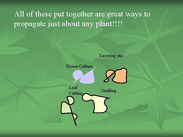 All of these put together are great ways to propagate just about any plant!!!!