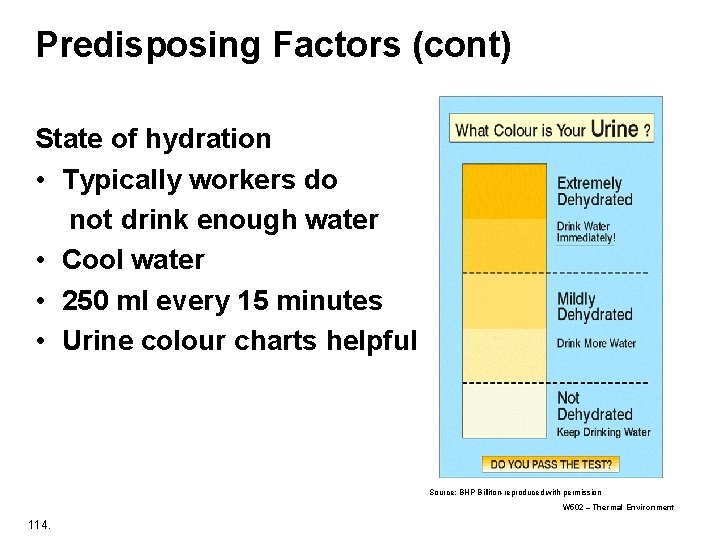 Predisposing Factors (cont) State of hydration • Typically workers do not drink enough water Predisposing Factors (cont) State of hydration • Typically workers do not drink enough water