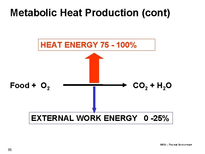 Metabolic Heat Production (cont) HEAT ENERGY 75 - 100% Food + O 2 CO Metabolic Heat Production (cont) HEAT ENERGY 75 - 100% Food + O 2 CO