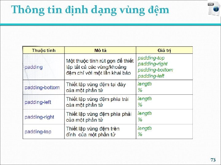 Thông tin định dạng vùng đệm 73 