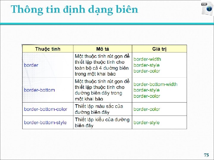 Thông tin định dạng biên 75 