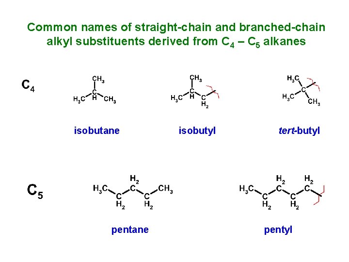 Common names of straight-chain and branched-chain alkyl substituents derived from C 4 – C