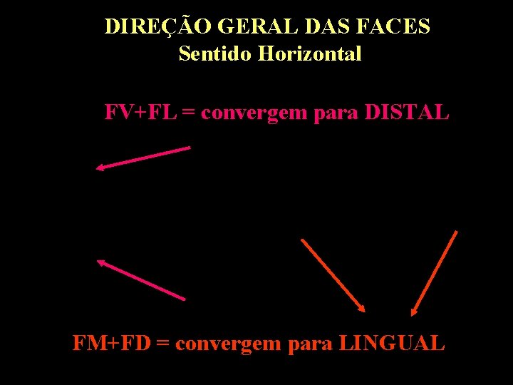 DIREÇÃO GERAL DAS FACES Sentido Horizontal FV+FL = convergem para DISTAL FM+FD = convergem DIREÇÃO GERAL DAS FACES Sentido Horizontal FV+FL = convergem para DISTAL FM+FD = convergem
