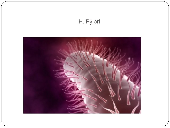 H. Pylori H. Pylori