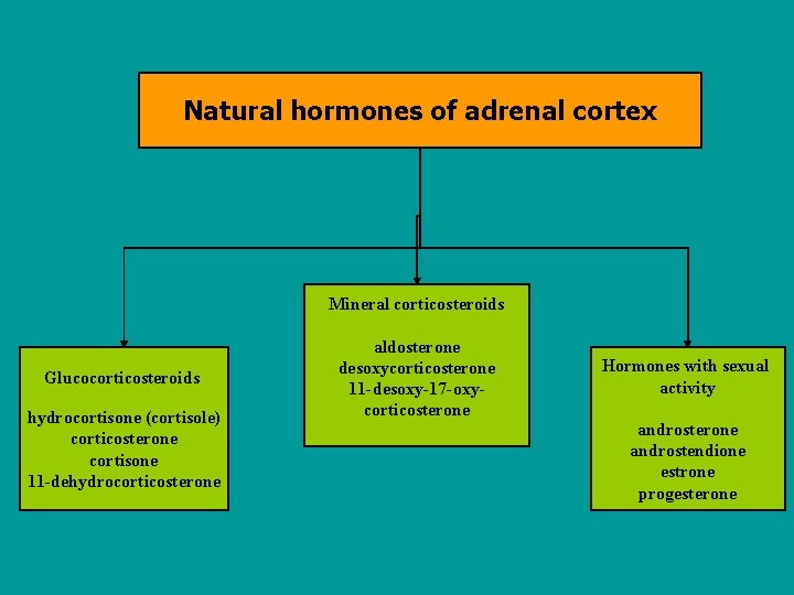 Natural hormones of adrenal cortex Mineral corticosteroids Glucocorticosteroids hydrocortisone (cortisole) corticosterone cortisone 11 -dehydrocorticosterone