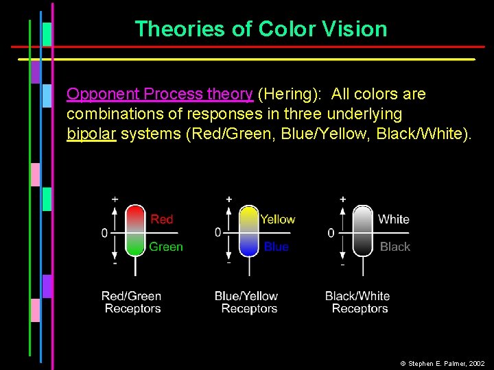 Theories of Color Vision Opponent Process theory (Hering): All colors are combinations of responses