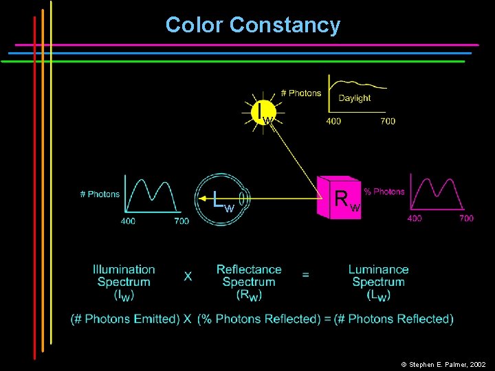 Color Constancy Iw Lw Rw © Stephen E. Palmer, 2002 