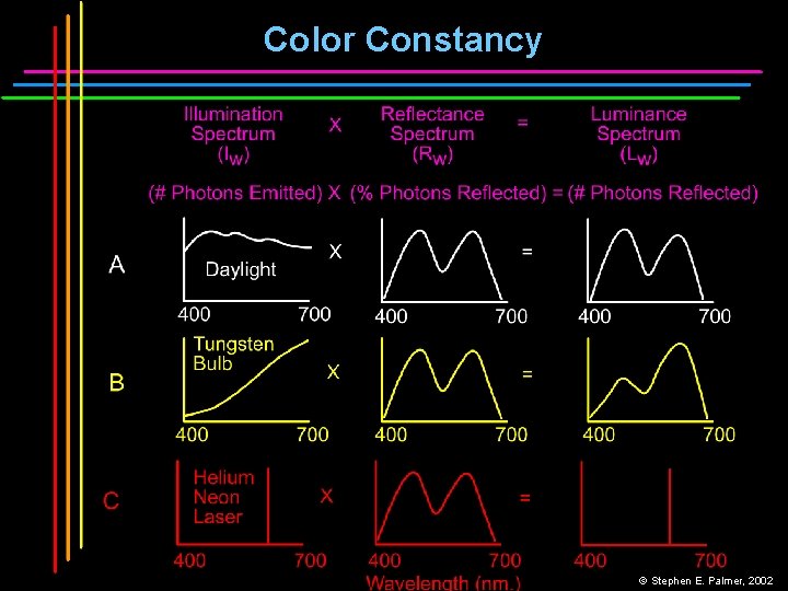 Color Constancy © Stephen E. Palmer, 2002 