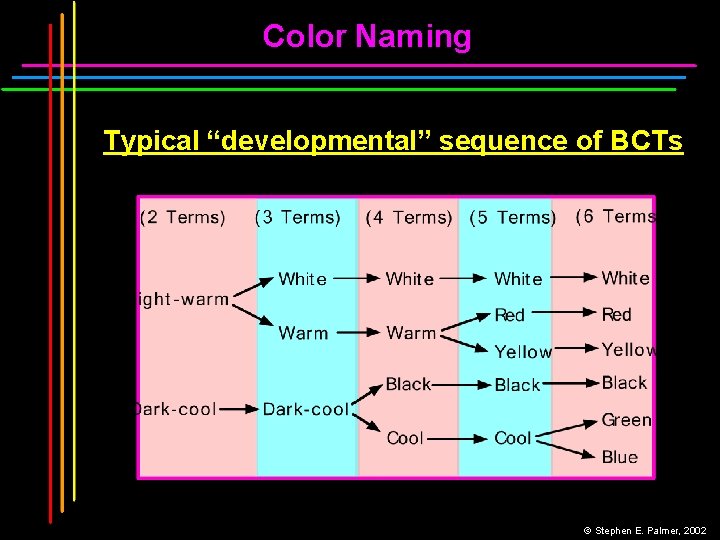 Color Naming Typical “developmental” sequence of BCTs © Stephen E. Palmer, 2002 