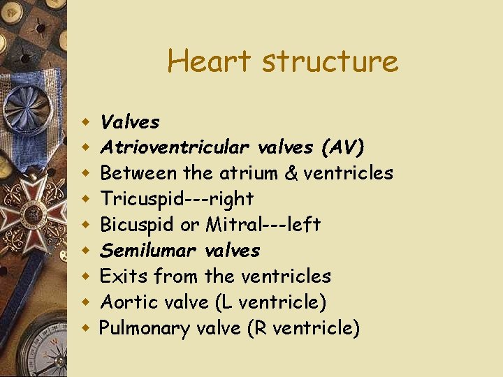 Heart structure w w w w w Valves Atrioventricular valves (AV) Between the atrium