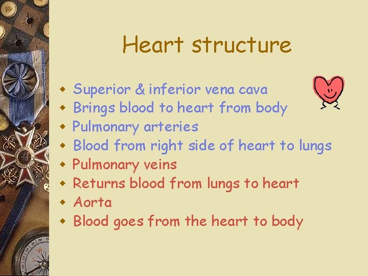 Heart structure w w w w Superior & inferior vena cava Brings blood to