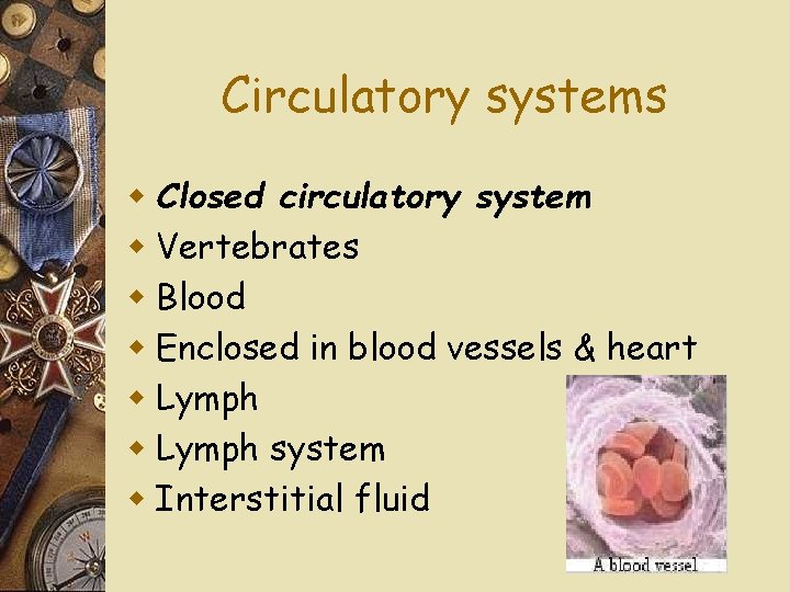 Circulatory systems w Closed circulatory system w Vertebrates w Blood w Enclosed in blood