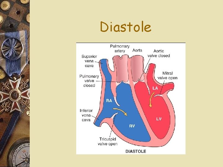 Diastole 