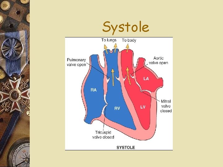 Systole 