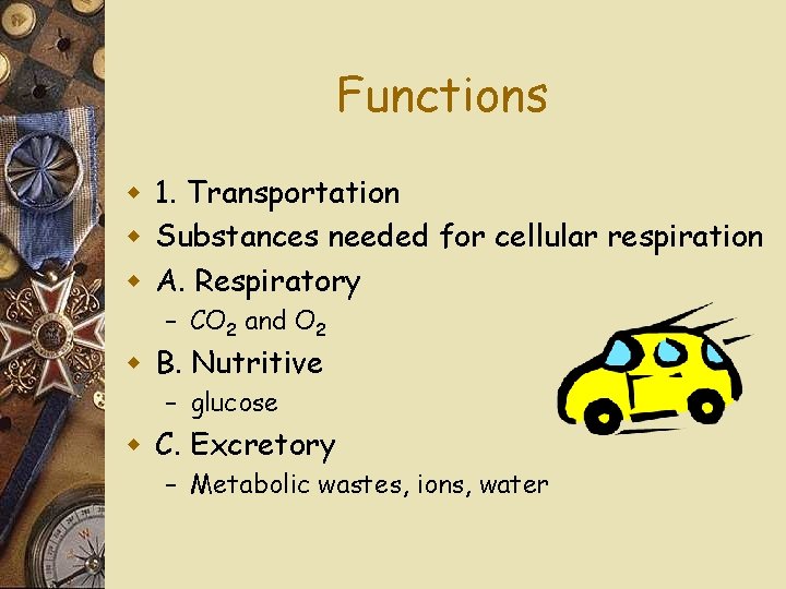 Functions w 1. Transportation w Substances needed for cellular respiration w A. Respiratory –