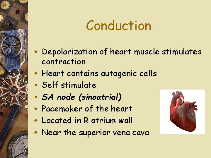 Conduction w Depolarization of heart muscle stimulates contraction w Heart contains autogenic cells w