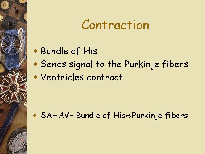 Contraction w Bundle of His w Sends signal to the Purkinje fibers w Ventricles